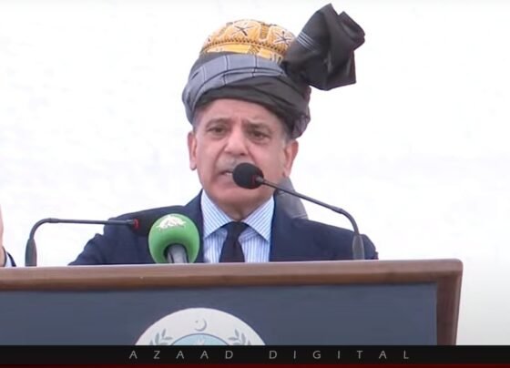 بھارت کو جو سبق سکھایا این ایف سی ایوارڈ