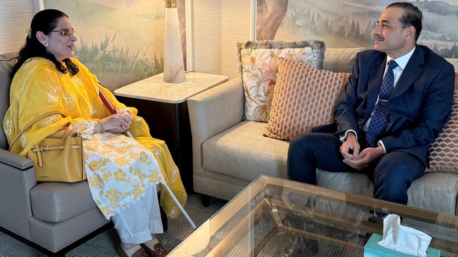 فیلڈ مارشل عاصم منیر کی اقوام متحدہ میں پاکستان کے نمائندہ مشن کی رکن صائمہ سلیم سے ملاقات
