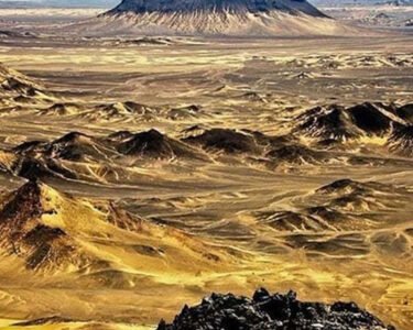 عالمی بینک