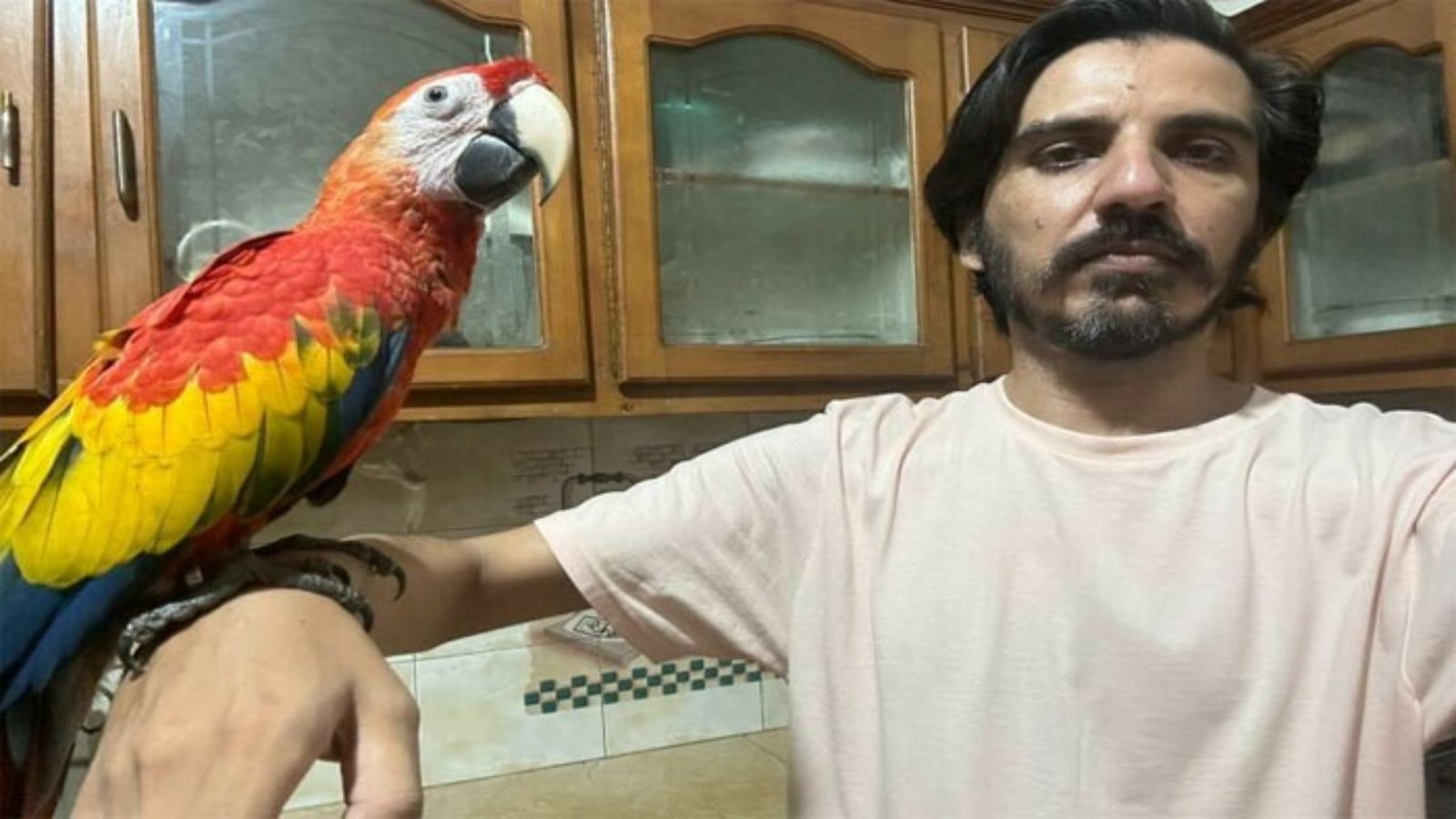 صحافی کو طوطے بیچنے پر پرندہ فروشوں کے بینک اکاؤنٹس منجمد!پسِ پردہ کہانی کیا ؟