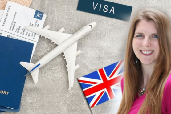 ای ویزا سسٹم متعارف