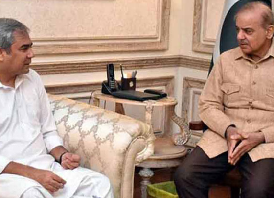 محسن نقوی کو گوادر سیف سٹی پر کام کی ہدایت