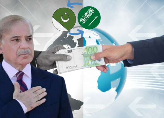 بیرون ملک
