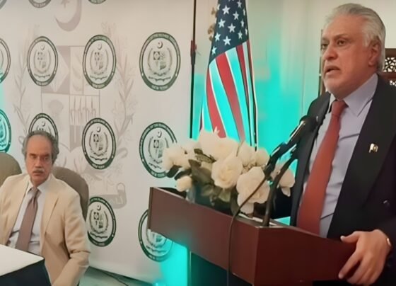 پی ٹی آئی مزید 6 ماہ حکومت میں رہتی تو پاکستان دیوالیہ ہو جاتا ، اسحاق ڈار