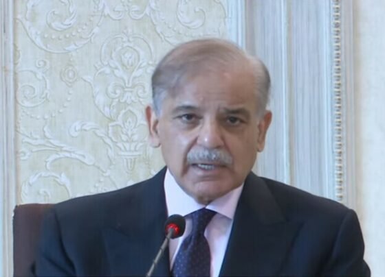 ہر 2 ماہ بعد وزارتوں کی کارکردگی کو جانچا جائیگا، جھوٹا تاثر پیدا کرنیکی اجازت نہیں ، وزیراعظم