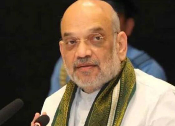 امیت شاہ