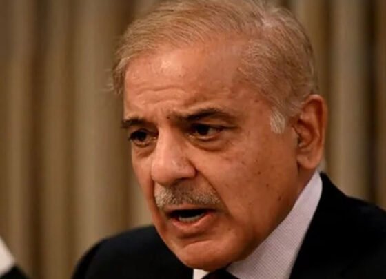 pm shahbaz