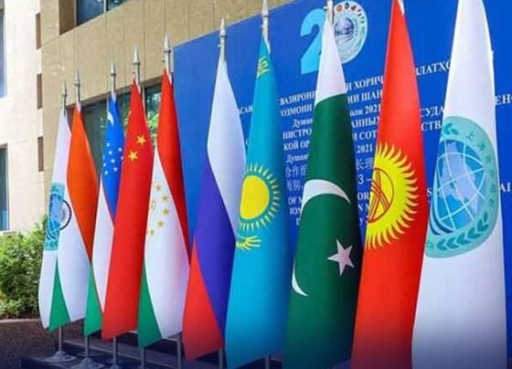 ایس سی او میٹنک