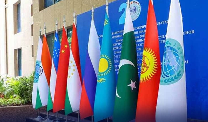 بھارت پاکستان کا سامنا کرنے سے گھبرا گیا، ایس سی او اجلاس میں بھارتی وزیر غیر حاضر