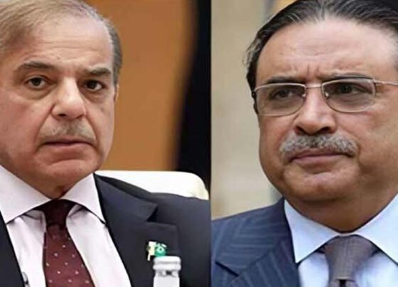 shahbaz and zardari
