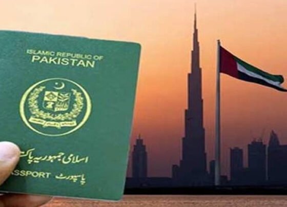 visa