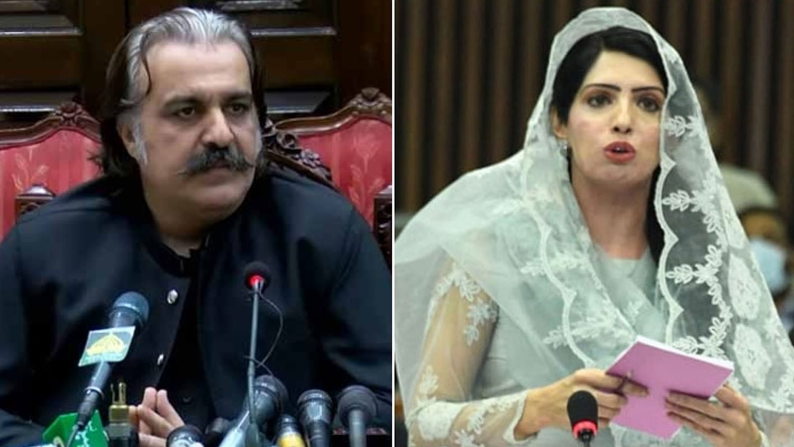 پانچ اگست کے مقابلے میں 90 دن کا پلان کہاں سے آیا ؟عالیہ حمزہ اپنی ہی قیادت پر برس پڑیں