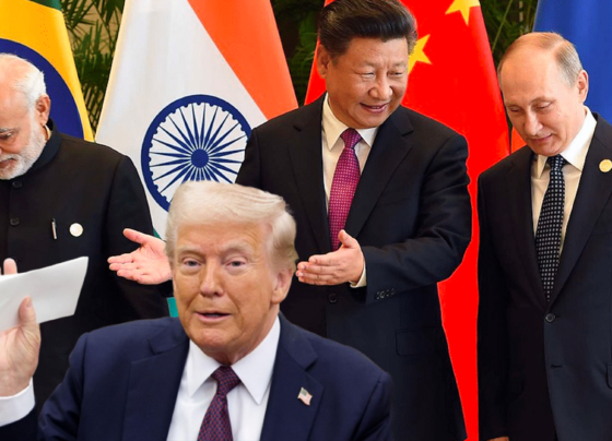 پیٹر ناوارو