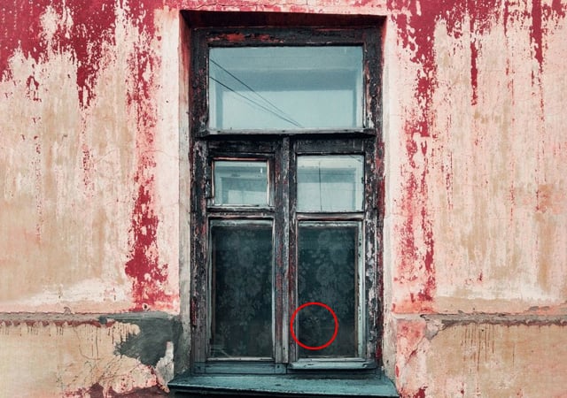 نیا چیلنج: تصویر میں چھپی بلی تلاش کریں