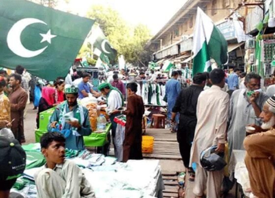 پاکستان کے یوم آزادی اور معرکہ حق میں کامیابی کا جشن منانے کیلئے تیاریاں عروج پر