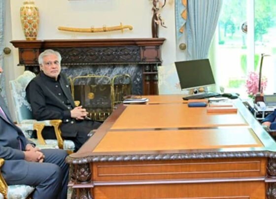 chairmen wapda