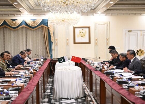 پاکستان کی علاقائی سالمیت اور قومی سلامتی کی حمایت جاری رکھیں گے: چین