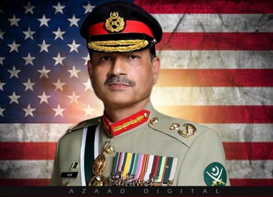 فیلڈ مارشل