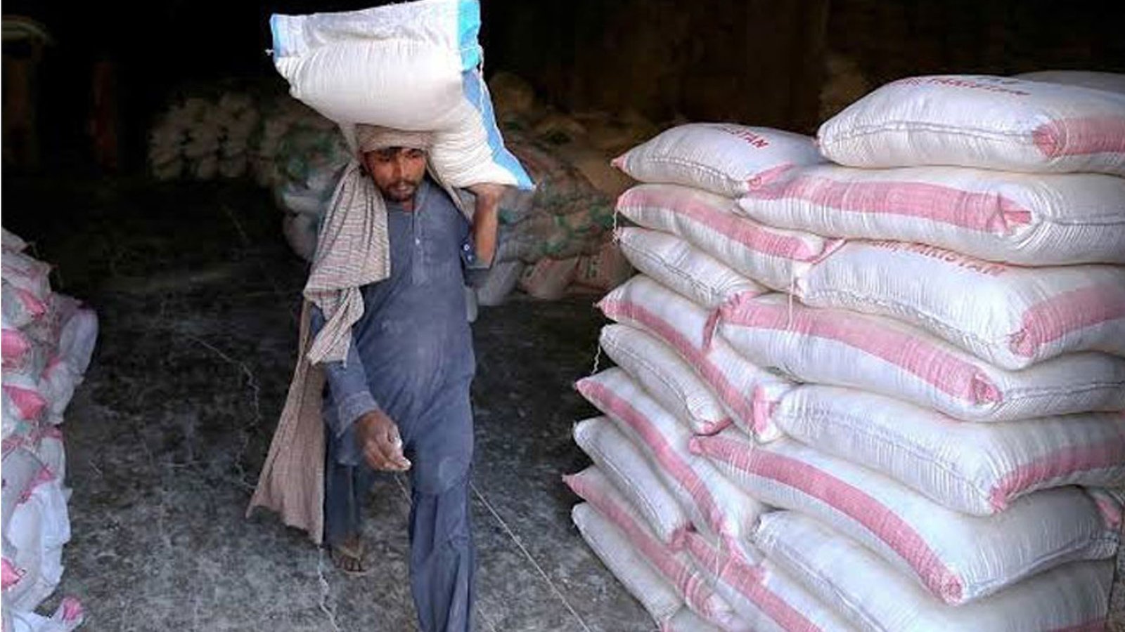 فلور ملز ایسوسی ایشن سندھ نے گندم کے مصنوعی بحران کا ذمہ دار پنجاب حکومت کو قرار دے دیا