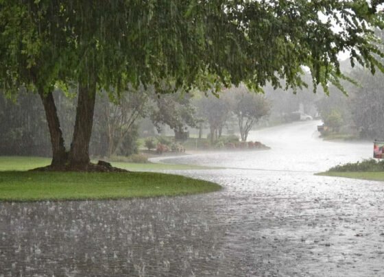 heavy rain