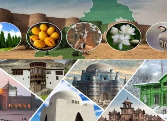 نئے صوبوں پر بحث، معاشی تھنک ٹینک کی 12 سے 20 صوبے بنانے کی تجویز