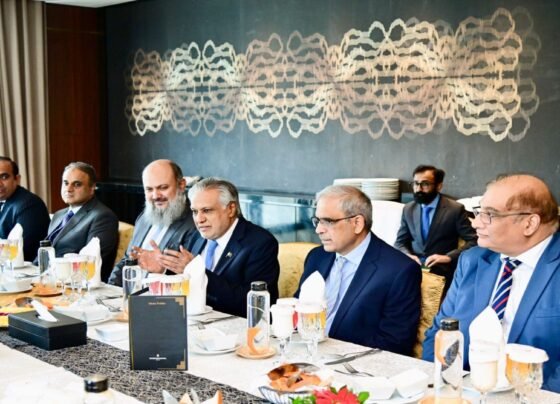 نائب وزیراعظم اسحاق ڈار کا دورہ بنگلہ دیش، اقتصادی تعاون پر تبادلہ خیال