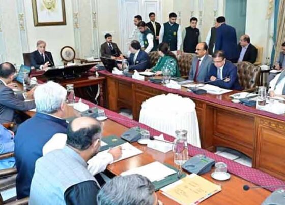 pm shahbaz