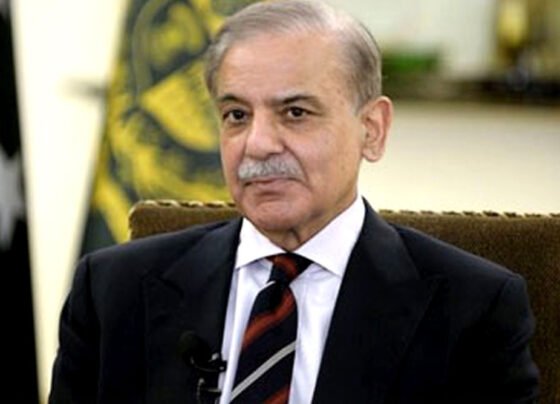 pm shahbaz