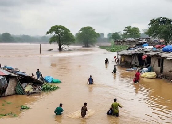 punjab flood
