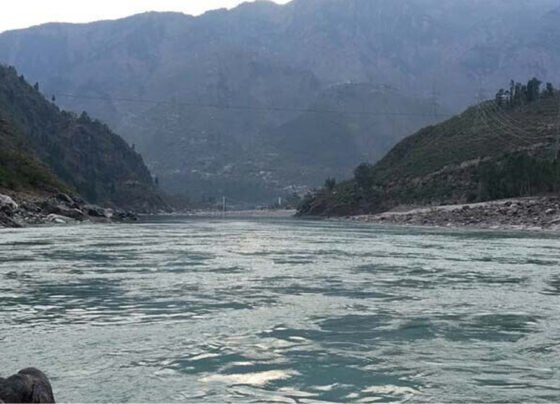 salal dam