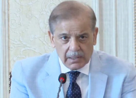 shahbaz shreef.jpg 1