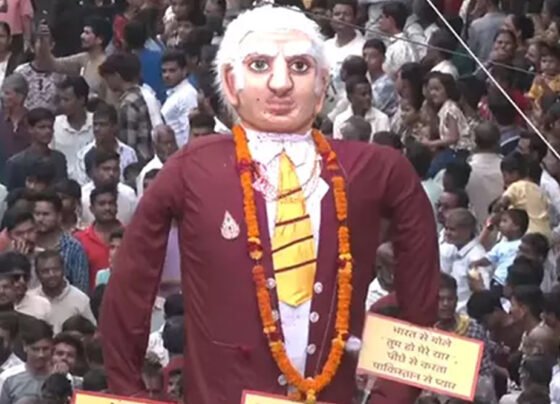 trump dammi