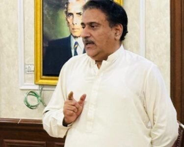 تحریک انصاف نے معین قریشی کو پنجاب اسمبلی میں اپوزیشن لیڈر نامزد کردیا