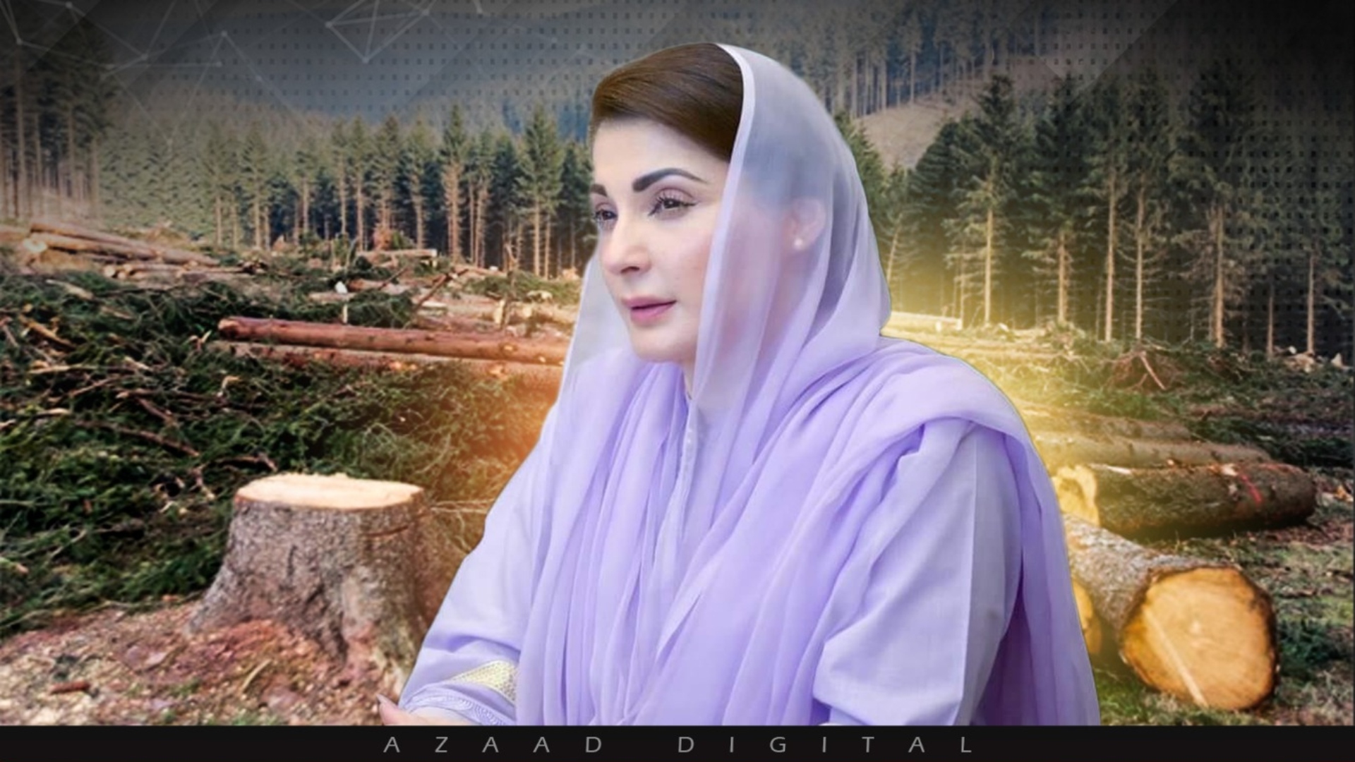 جنگلات کی کٹائی اور لکڑی کی نیلامی پر مکمل پابندی، وزیراعلیٰ پنجاب کا اہم فیصلہ