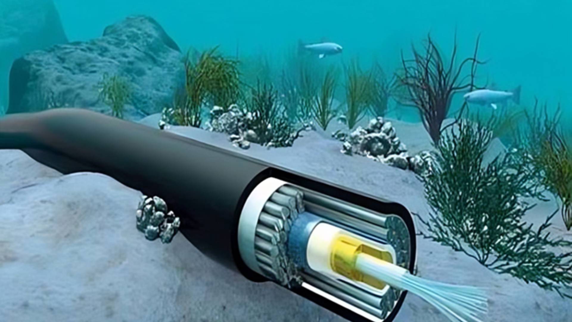 بحیرہ احمر میں انٹرنیٹ کیبلز کٹنے سے رابطوں میں خلل کا خدشہ