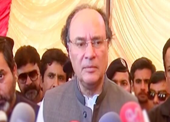سیاست سے بالاتر ہوکرکام کیا، ملک میں مصنوعی مہنگائی نہیں ہونے دینگے، وزیر خزانہ