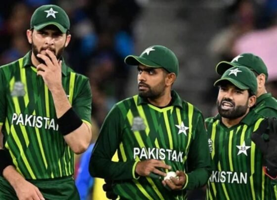 پی سی بی کا بڑا فیصلہ ، قومی کرکٹرز کے غیر ملکی لیگز کے این او سی معطل