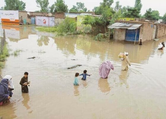 سیلاب سے پنجاب سندھ سرحد کی دریائی پٹی شدید متاثر، زمینی رابطے منقطع، فصلیں تباہ