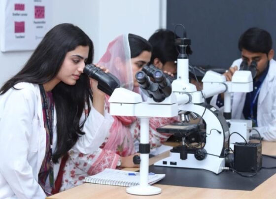 پنجاب : سرکاری میڈیکل کالجز میں داخلے کیلئے ایم ڈی کیٹ ٹیسٹ پاس کرنا ضروری قرار