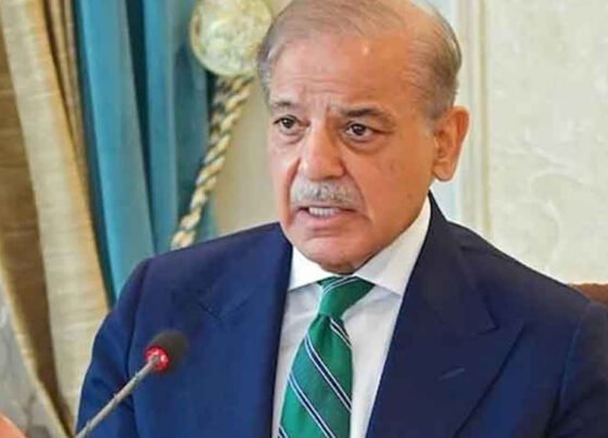 pm shahbaz