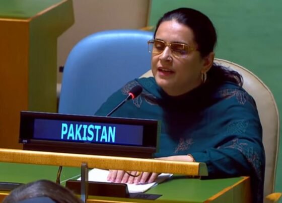 اقوام متحدہ میں پاکستانی قونصلر کا بھارتی الزامات کا مؤثر جواب ، بھارت کی بولتی بند