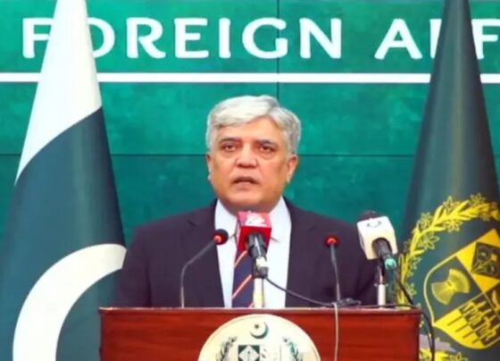 بھارت نے سفارتی سطح پر سیلاب کے حوالے سے تفصیلات فراہم نہیں کیں، پاکستان