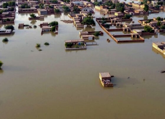 sindh rain