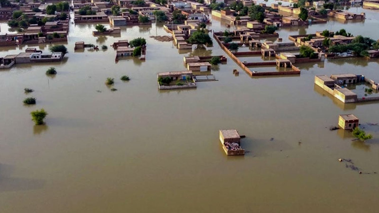 سندھ میں شدید بارشوں سے نشیبی علاقے زیرِ آب، صدر زرداری نے تمام اداروں کو الرٹ رہنے کی ہدایت کر دی