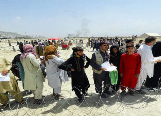 افغان مہاجرین