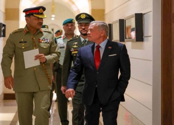 فیلڈ مارشل