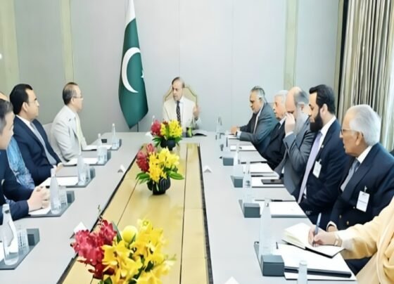 وزیراعظم سے ملائیشین بزنس گروپ کی ملاقات ، اقتصادی تعاون کے فروغ پر اتفاق