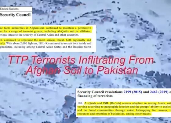 افغانستان میں فتنہ الخوارج اور القاعدہ کی موجودگی، اقوام متحدہ کی رپورٹ میں ناقابل تردید شواہد منظر عام پر آگئے