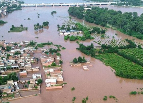 flood sarvay