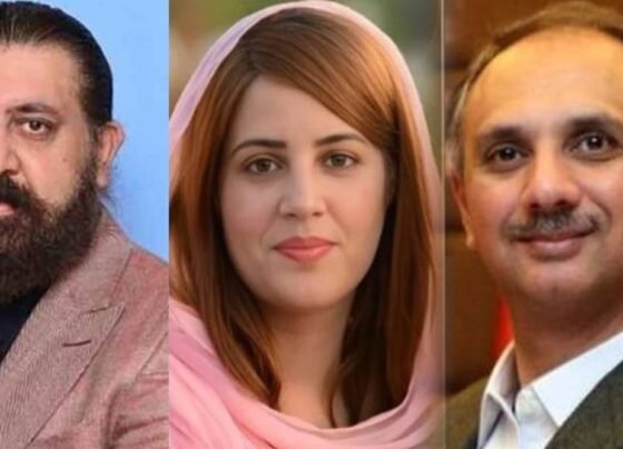 سنگجانی جلسہ کیس : عمرایوب، شیخ وقاص اکرم اور زرتاج گل کے وارنٹ گرفتاری جاری